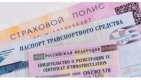 Что нужно: КАСКО или ОСАГО в Живика