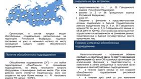 Что такое подразделение юридического лица в Живика