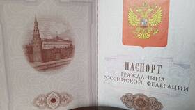 Что такое внутренний паспорт в Живика