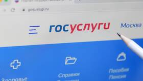 Что учитывается при назначении субсидии в Живика