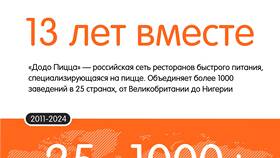 История создания Додо Пицца в Живика