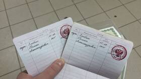 Как написать заявление в полицию от имени ребенка в Живика