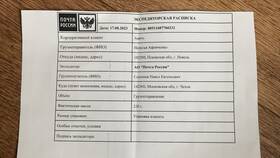 Как оформить доставку Почтой России на Авито в Живика