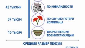 Как определить размер страховой пенсии в Живика