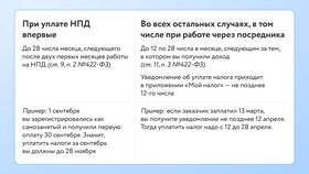 Как открыть самозанятость и какие налоги платить в Живика