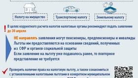 Как подать налоговую декларацию пенсионеру в Живика
