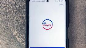 Как подать заявление на развод через Госуслуги в Живика