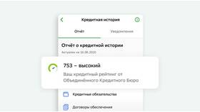 Как получить кредит без кредитной истории в Живика