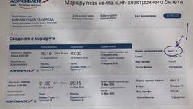 Как поменять паспортные данные в билете Аэрофлота в Живика