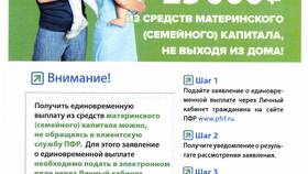 Как правильно написать заявление в Пенсионный фонд в Живика