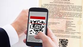 Как правильно писать: QR-код или QR код в Живика