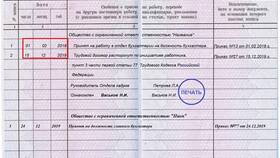 Как рассчитывается страховой стаж в Живика