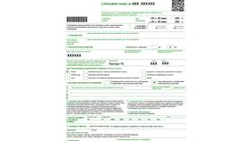 Как расшифровывается ОСАГО в страховании в Живика