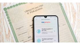 Как сделать ИНН ребенку через Госуслуги в Живика
