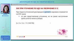 Как сделать корректировку декларации по НДС в Живика