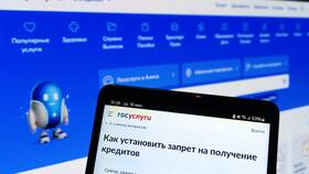 Как снять запрет на кредит через МФЦ в Живика