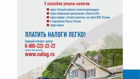 Как узнать налоги через сервис Налог.ру в Живика