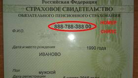 Как узнать номер пенсионного свидетельства (СНИЛС)