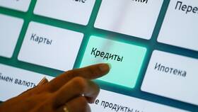 На что дают потребительский кредит в Живика