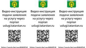 Образец заявления на портале Госуслуг в Живика