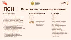 Патентная система налогообложения для ИП: суть и особенности в Живика