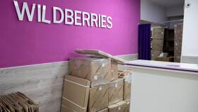 Почему на Wildberries доставка стоит 200 рублей в Живика