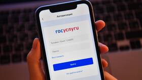 Почему СНИЛС не прошел проверку в Живика