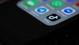 Причины невозможности создать аккаунт в TikTok в Живика