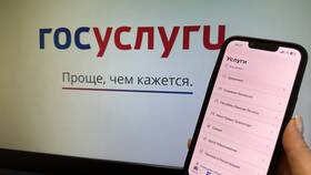 Работа с Госуслугами как администратор организации