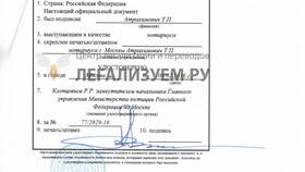 Шрифты для официальных документов в Живика