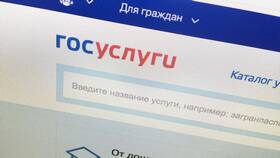 Сроки проведения платежей через портал Госуслуги в Живика