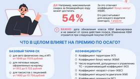 За что платит ОСАГО в Живика