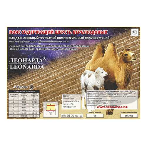 Пояс Леонарда из верблюжьей шерсти 88-98 см размер XL в Живика
